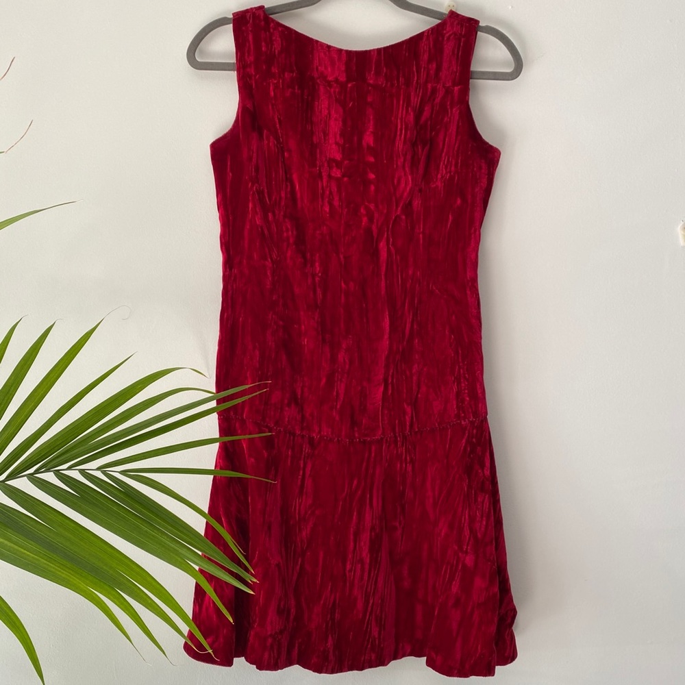 Vintage Red Velvet Dress